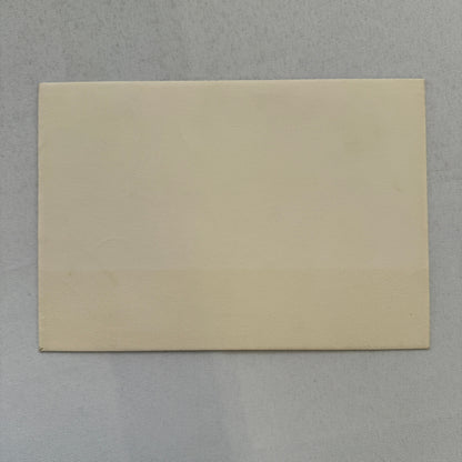 1960 Buick LeSabre Car Sales Brochure Catalog Station Wagon Coupe Convertible