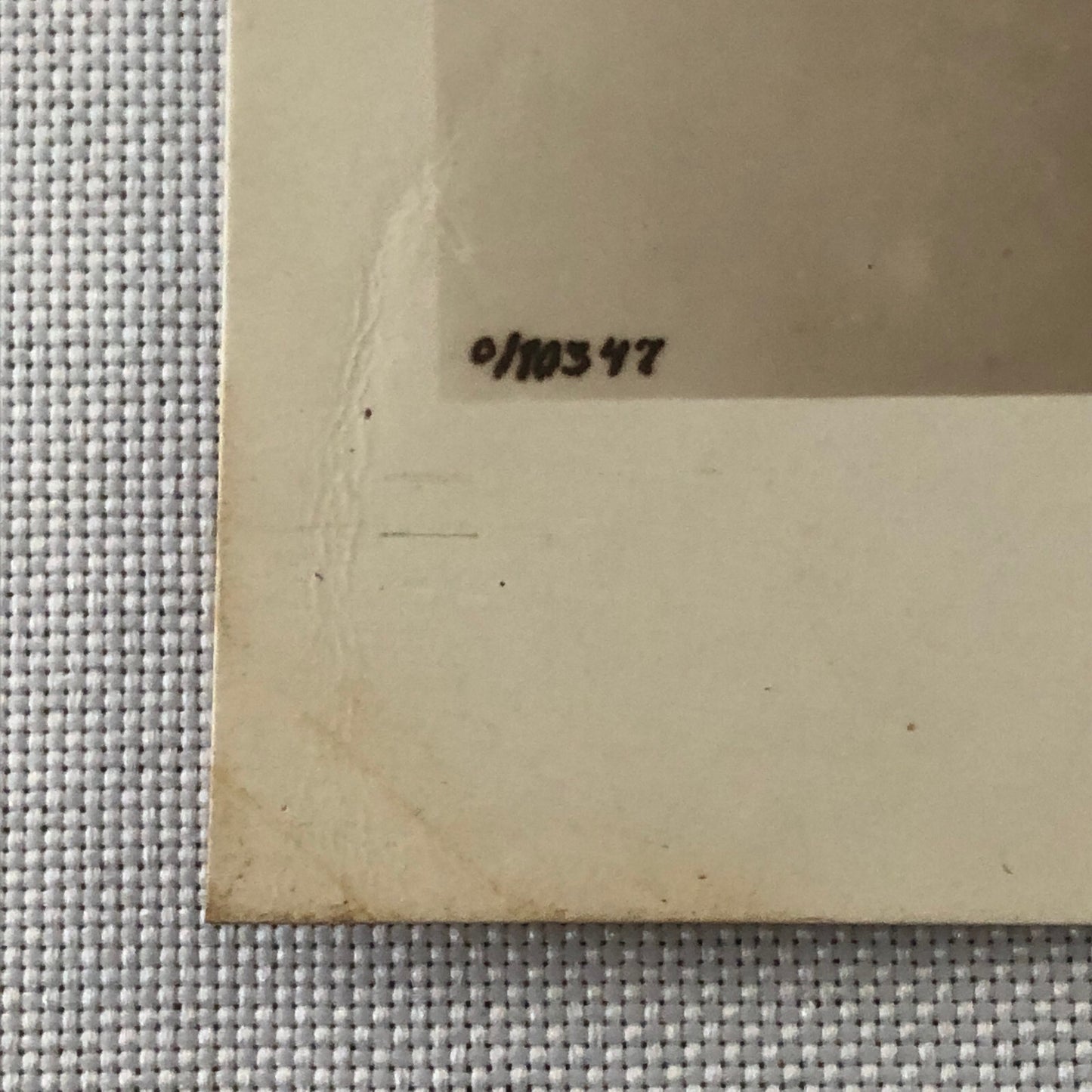 Circus Performer Photo Photograph Print Portrait Woman Vintage