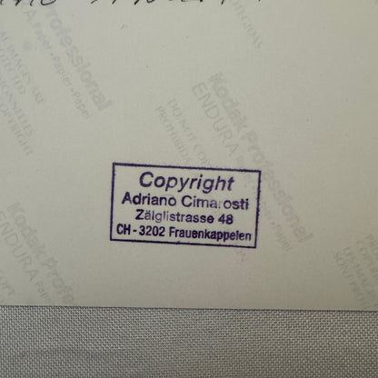 Alfa Romeo Abarth 1100 Pininfarina Car with Carlo Abarth Photo Photograph Modern