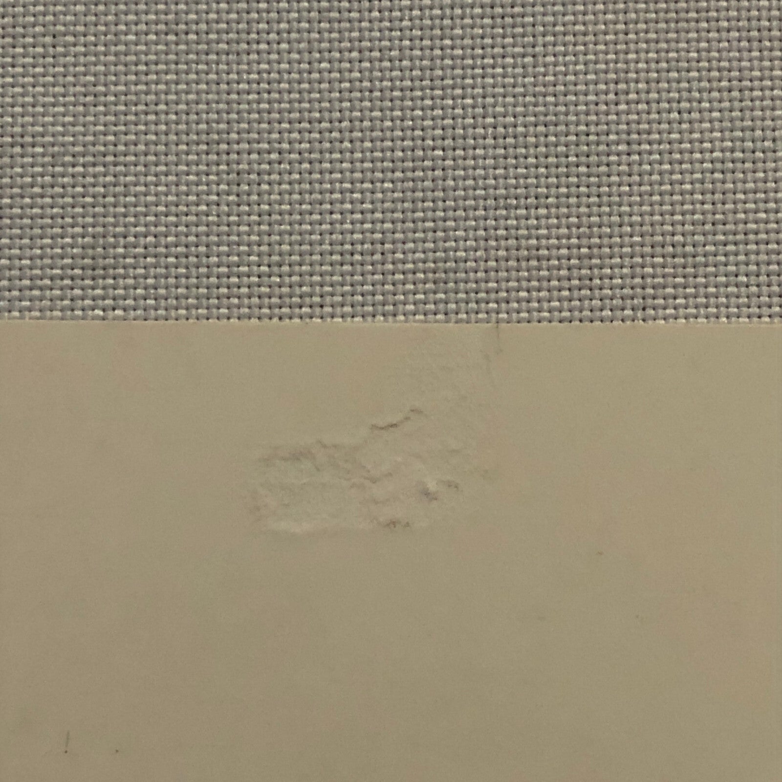 Vintage Movie Still Photo Photograph Print Four Faces West Frances Dee