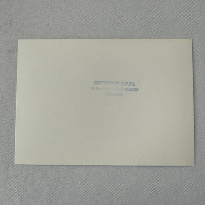 1980 Rallye Monte Carlo Press Photo Photograph DPPI Porsche 911 Carrera