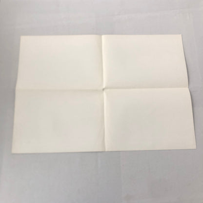 1987 Lancia Delta HF Integrale Car Sales Brochure POSTER GERMAN