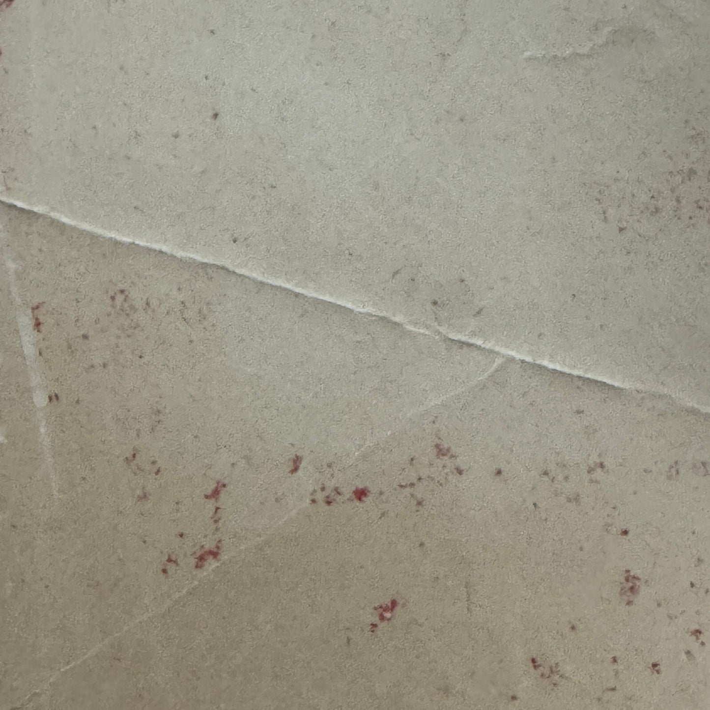 Vintage Travel Luggage Label Arizona State