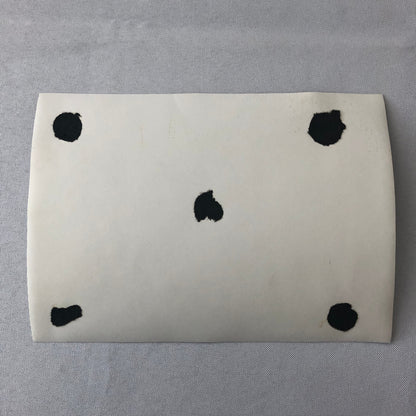 Vintage Motorcycle Racing Photo photograph Sidecar Side Car Bike