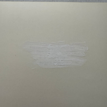 General Motors GM EV1 Electric Car Factory Press Photo Photograph GERMAN Europe