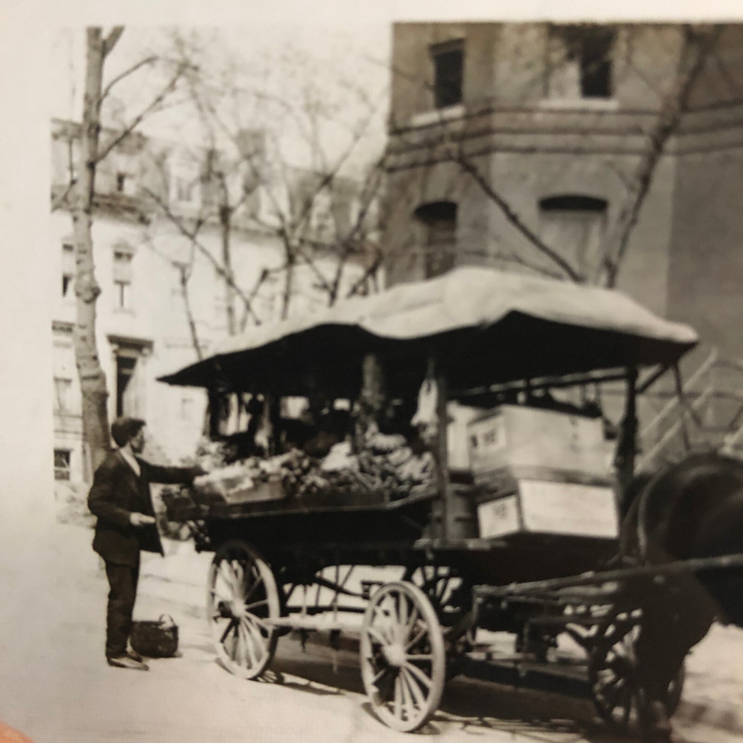 Antique Glass Plate Lantern Slide Photo Horse Drawn Wagon Vendor Cart