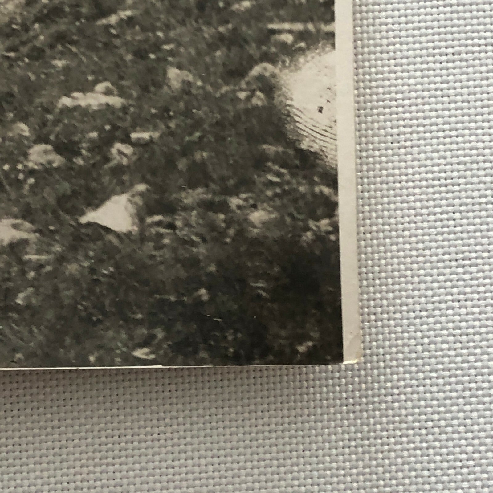 Antique Press Photo Photograph Agence Meurisse Paris Nice Rally Rallye Car ? 