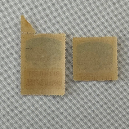 Vintage Bucharest Grand Hotel Stamp Label