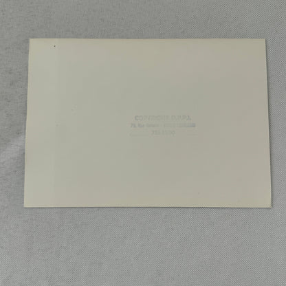 1980 Rallye Monte Carlo Press Photo Photograph DPPI Ford Fiesta MK1 Car