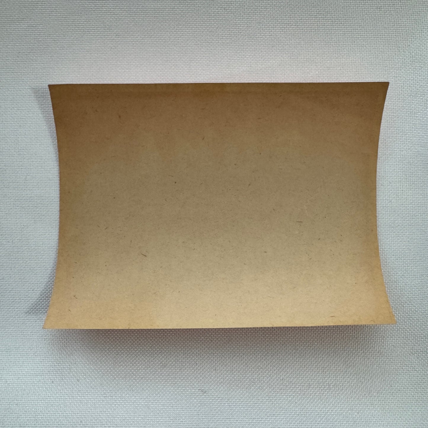 Vintage Travel Luggage Label Hotel Roma Albergo Nazionale Rome Italy Italian