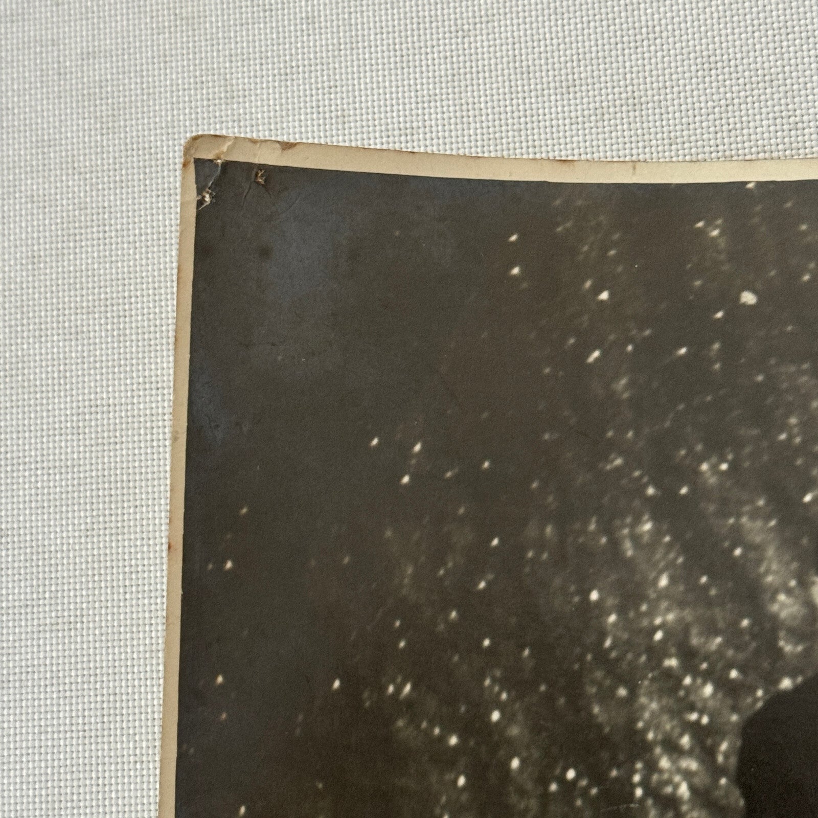 Vintage Circus Performer Photo Photograph Heinrich Schuhmann Photographer