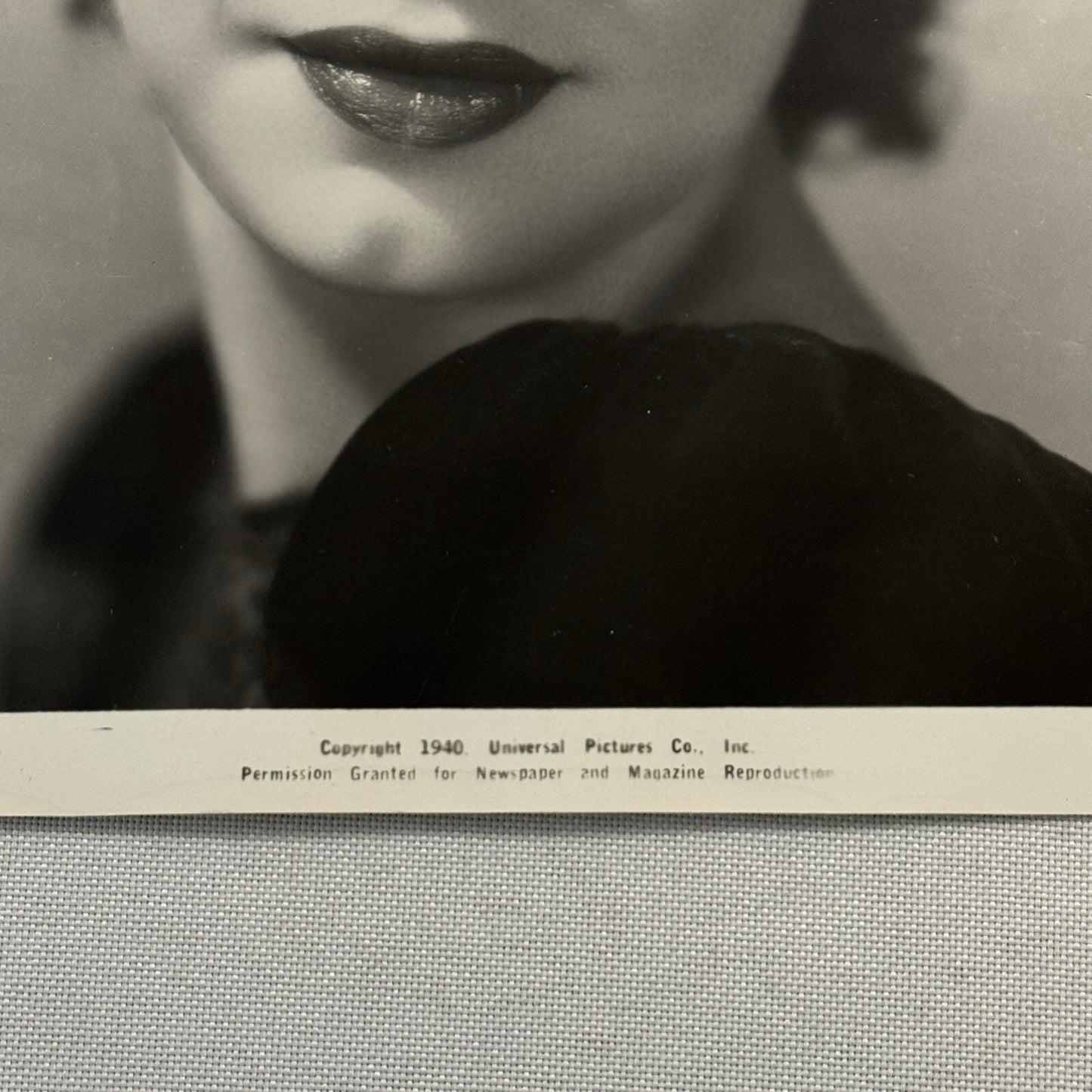 Anne Nagel Press Photo Photograph 1940 Universal Pictures Beautiful Actress