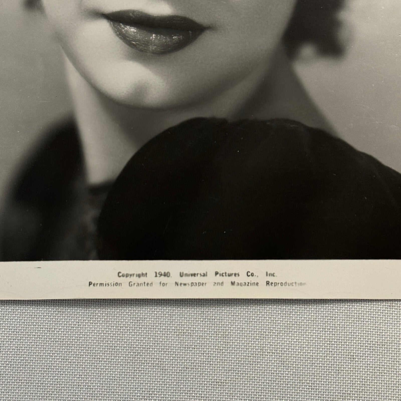 Anne Nagel Press Photo Photograph 1940 Universal Pictures Beautiful Actress