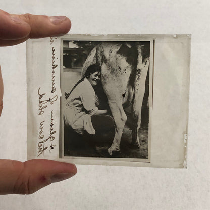 Antique Glass Plate Photo Slide Positive Woman Milking Cow Farm Barn