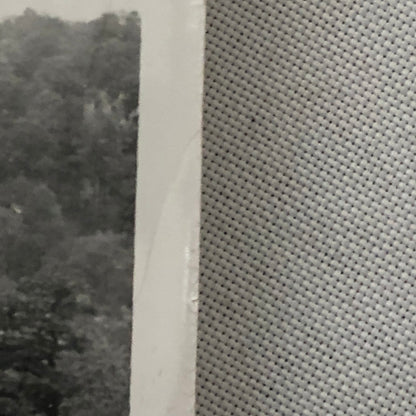 Vintage Volkswagen VW Beetle Bug Car Photo Photograph