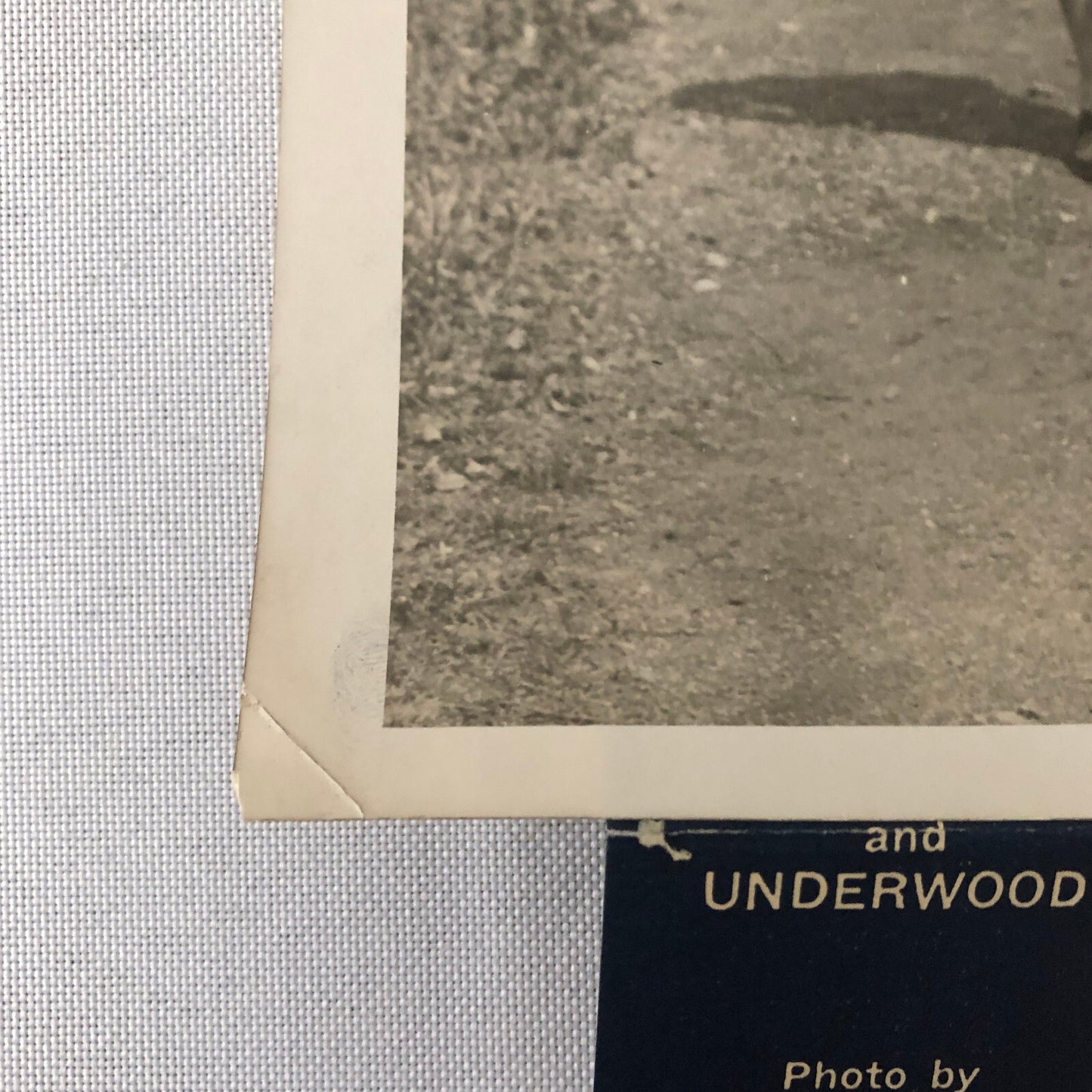Press Photo Photograph Golf Champion Maureen Orcutt Golfing Golfer 1932