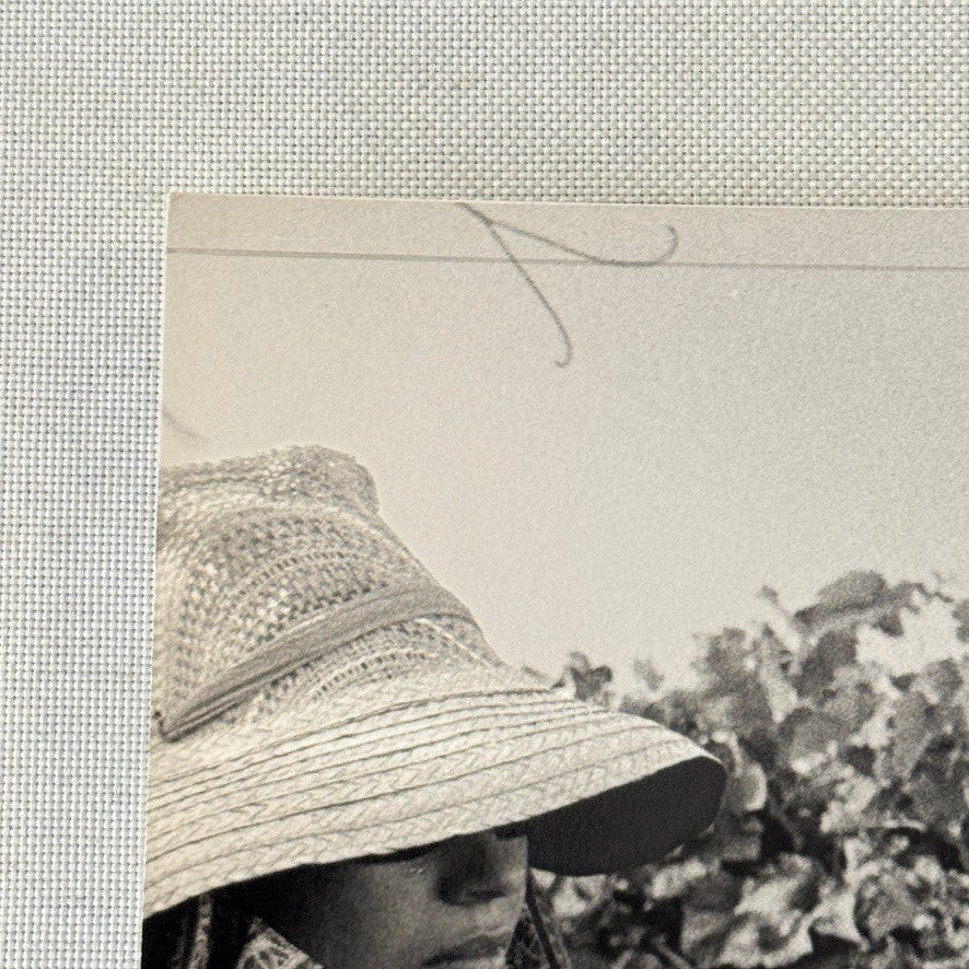 United Farmworkers Union Strike Labour Labor Canada Press Photo Photograph