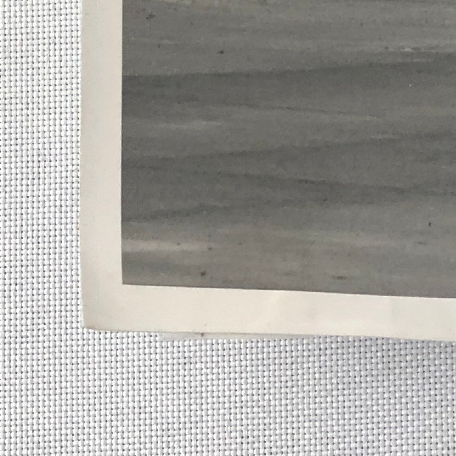 Vintage Antique Car Rally Photo Photograph Print - Guy Griffiths Tag REA22E4