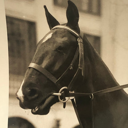Press Photo Photograph Daughter of Senator James Couzens on Horse 1923