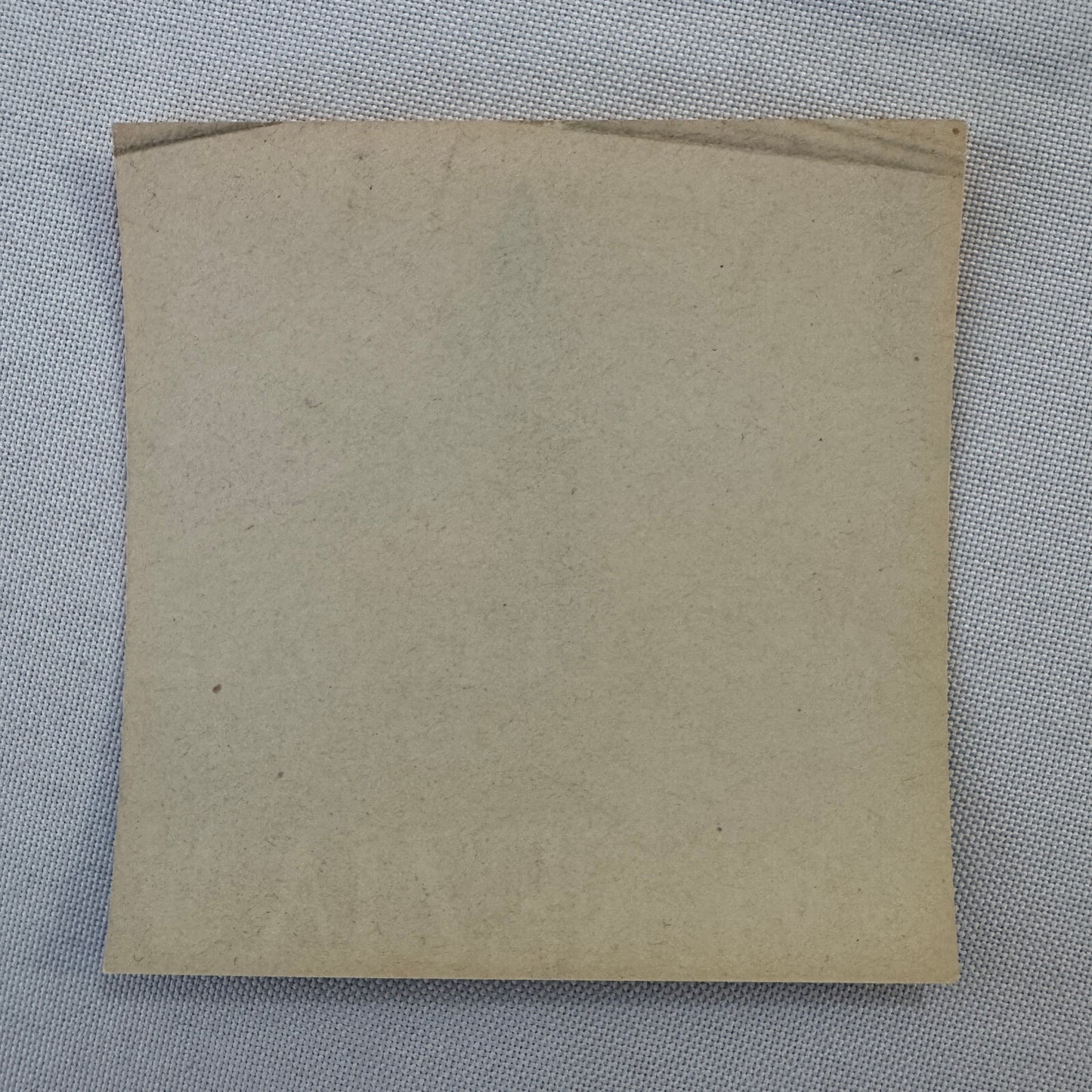 Vintage Travel Label Hotel Danieli Royal Excelsior Venezia Venice Italy Italian