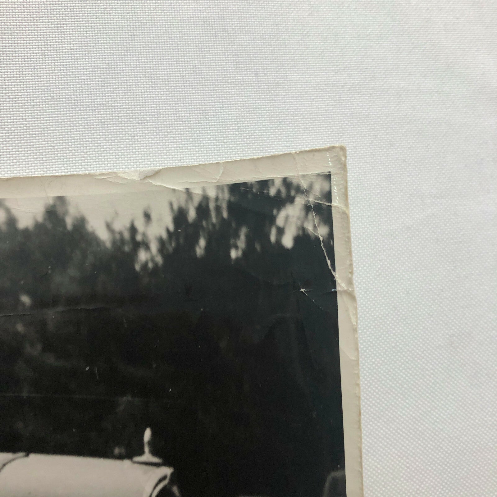 Vintage Racing Car and Driver Photograph Photo - Peugeot Sochaux ? 
