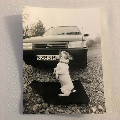 Vintage Fiat Car Factory Press Photo Photograph Print with Dog 