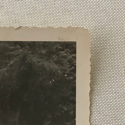 Vintage Oldsmobile Car Tunnel in Large Tree Photo Photograph Snapshot Print