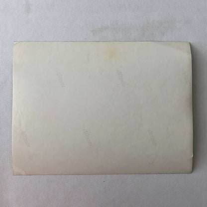 Vintage Streamline Car Trailer Photo Photograph - Denmark 