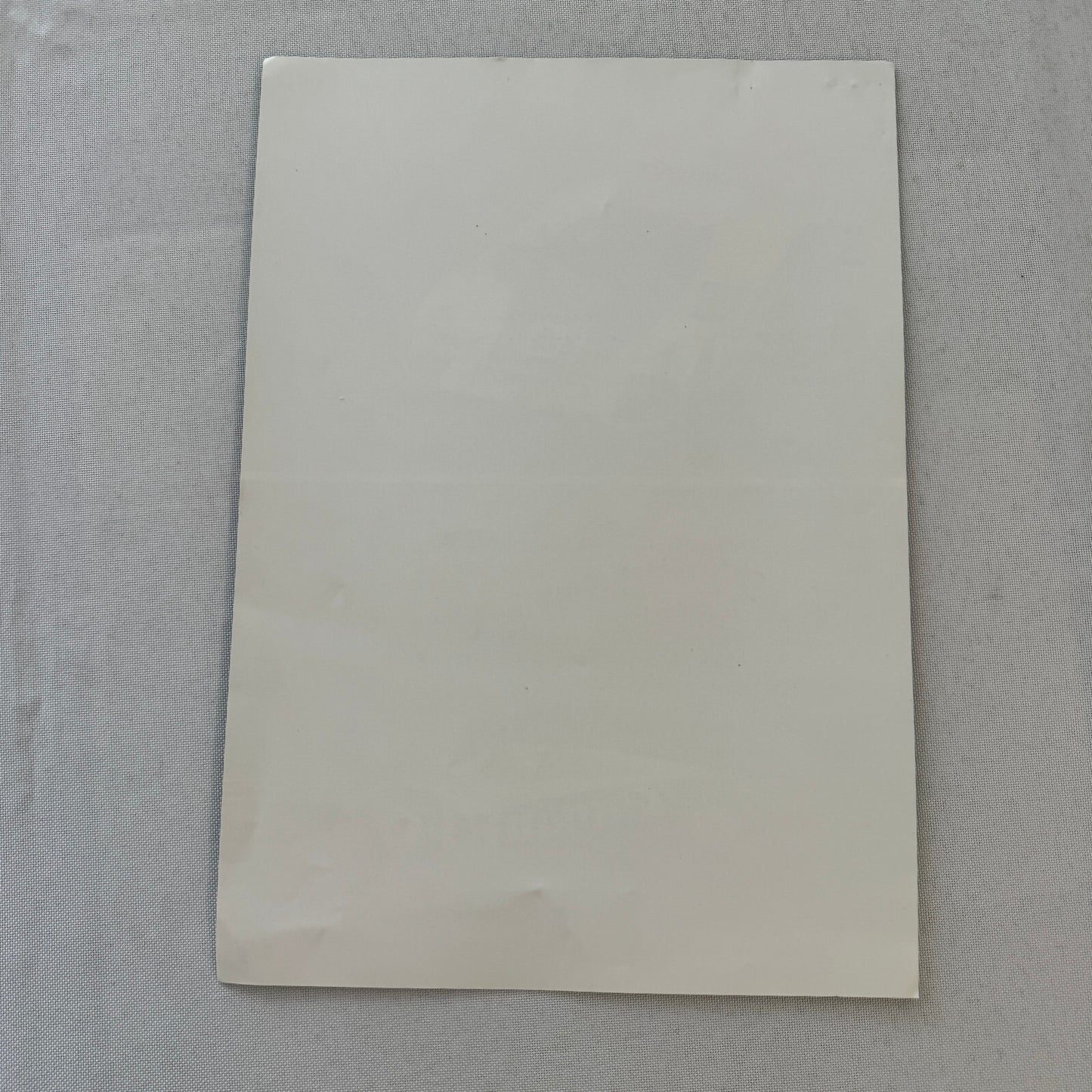 Porsche 956 1983 Endurance World Championship Racing Press Photo Photograph