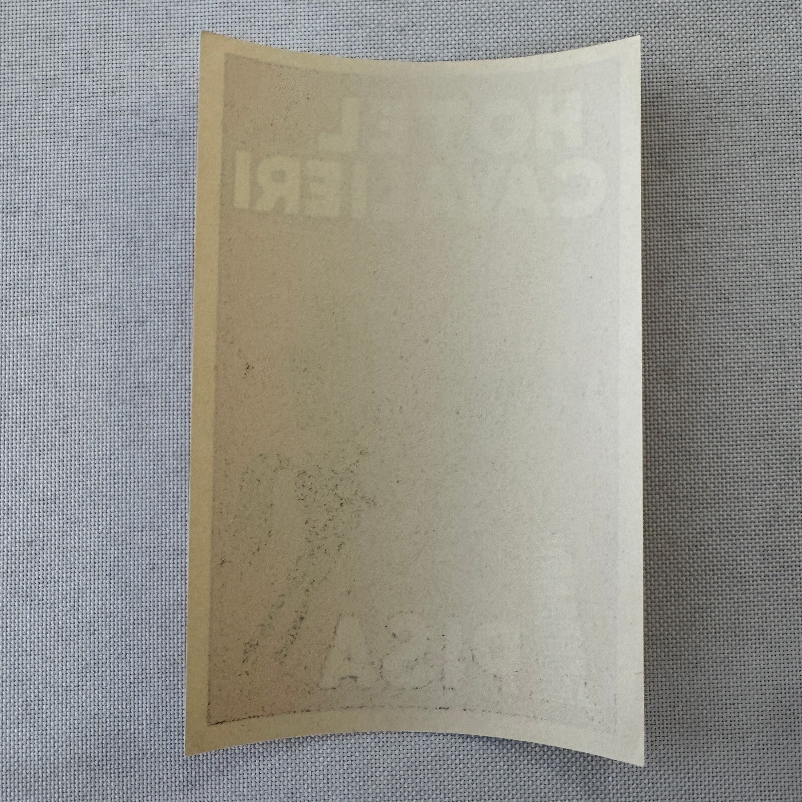 Vintage Hotel Travel Luggage Label Hotel Dei Cavalieri Pisa Italy Italian