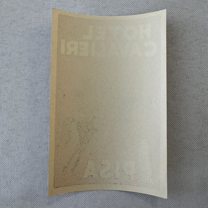 Vintage Hotel Travel Luggage Label Hotel Dei Cavalieri Pisa Italy Italian