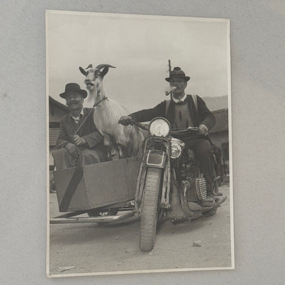 Vintage Motorcycle Bike Sidecar Photo Photograph Men with Goat Germany