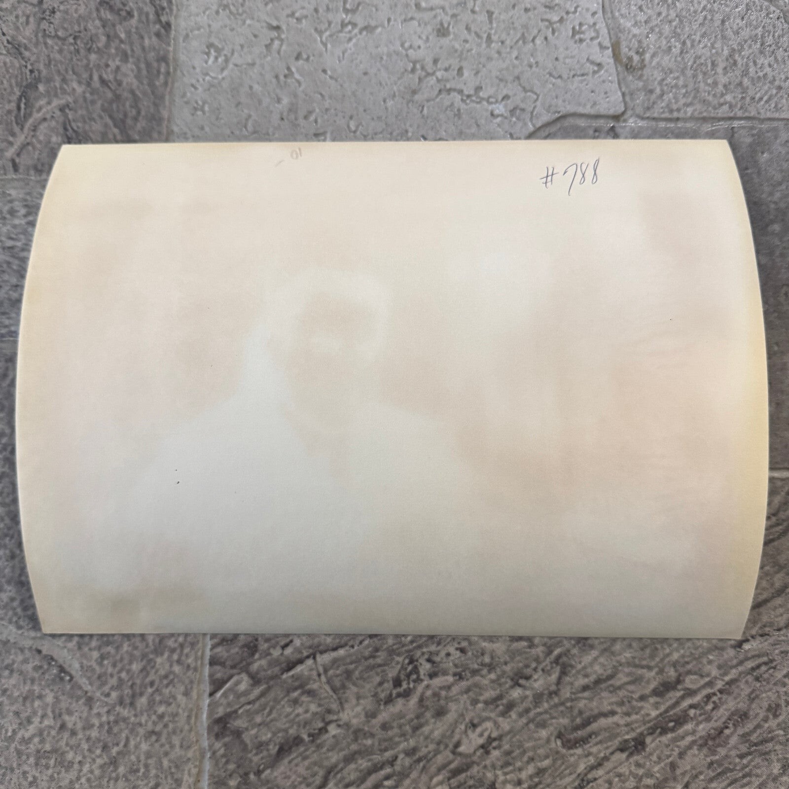 1970 Press Photo Cesar Chavez George Meany Farm Union Organization Civil Rights