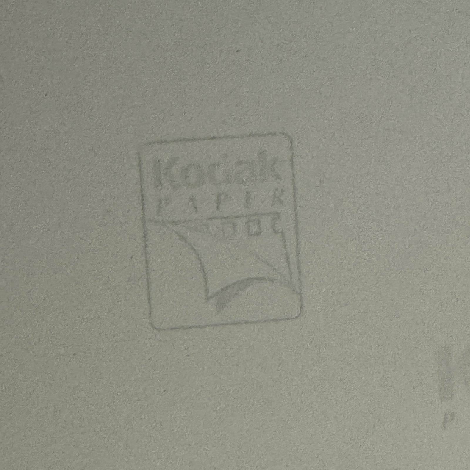 American Motors Javelin AMC Racing Photo Photograph Modern Print