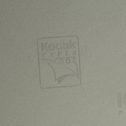 American Motors Javelin AMC Racing Photo Photograph Modern Print