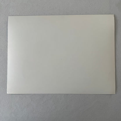 Porsche Rothmans Racing Driver Press Photo Photograph Jochen Mass Bob Wollek