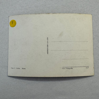 Woman with Beautiful Car Automobile Photo Photograph Italian Fiat 1100 Vignale