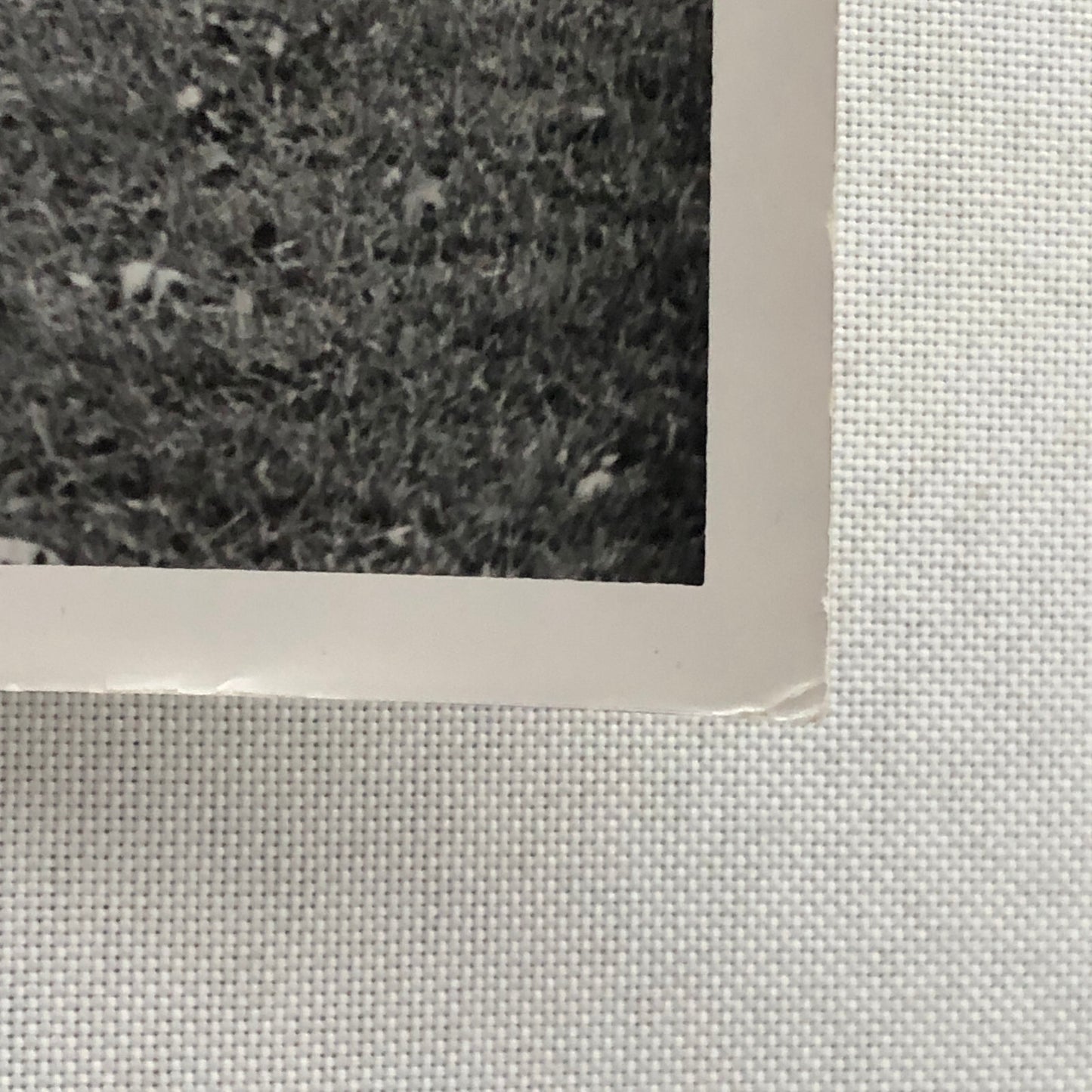 Vintage Volkswagen VW Beetle Bug Car Photo Photograph