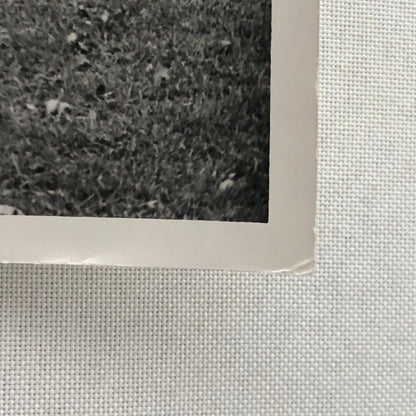 Vintage Volkswagen VW Beetle Bug Car Photo Photograph