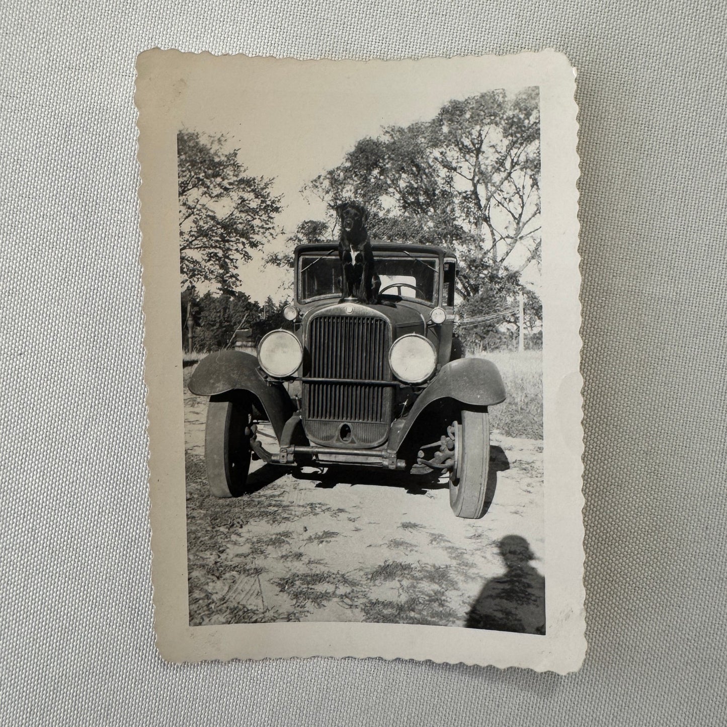 Vintage Dog Automobile Photo Photograph Print Snapshot Early Car