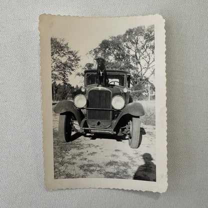 Vintage Dog Automobile Photo Photograph Print Snapshot Early Car