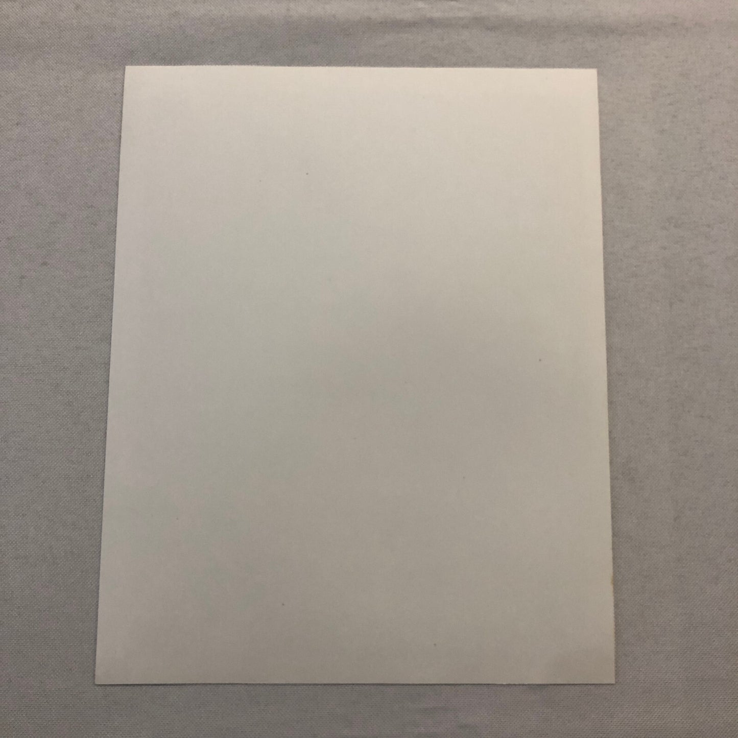 Nina Foch Hollywood Movie Star Actress Photo Photograph Print Beautiful