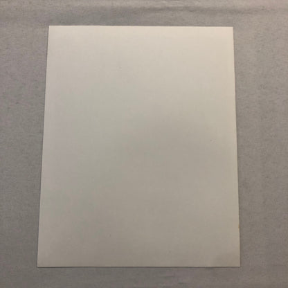 Nina Foch Hollywood Movie Star Actress Photo Photograph Print Beautiful