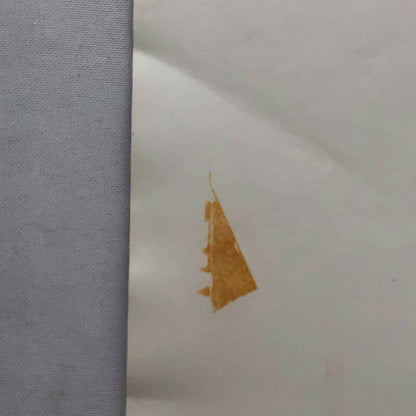 Vintage DPPI Racing Photo Photograph Ford Mustang Rally Car in Snow Greder + 