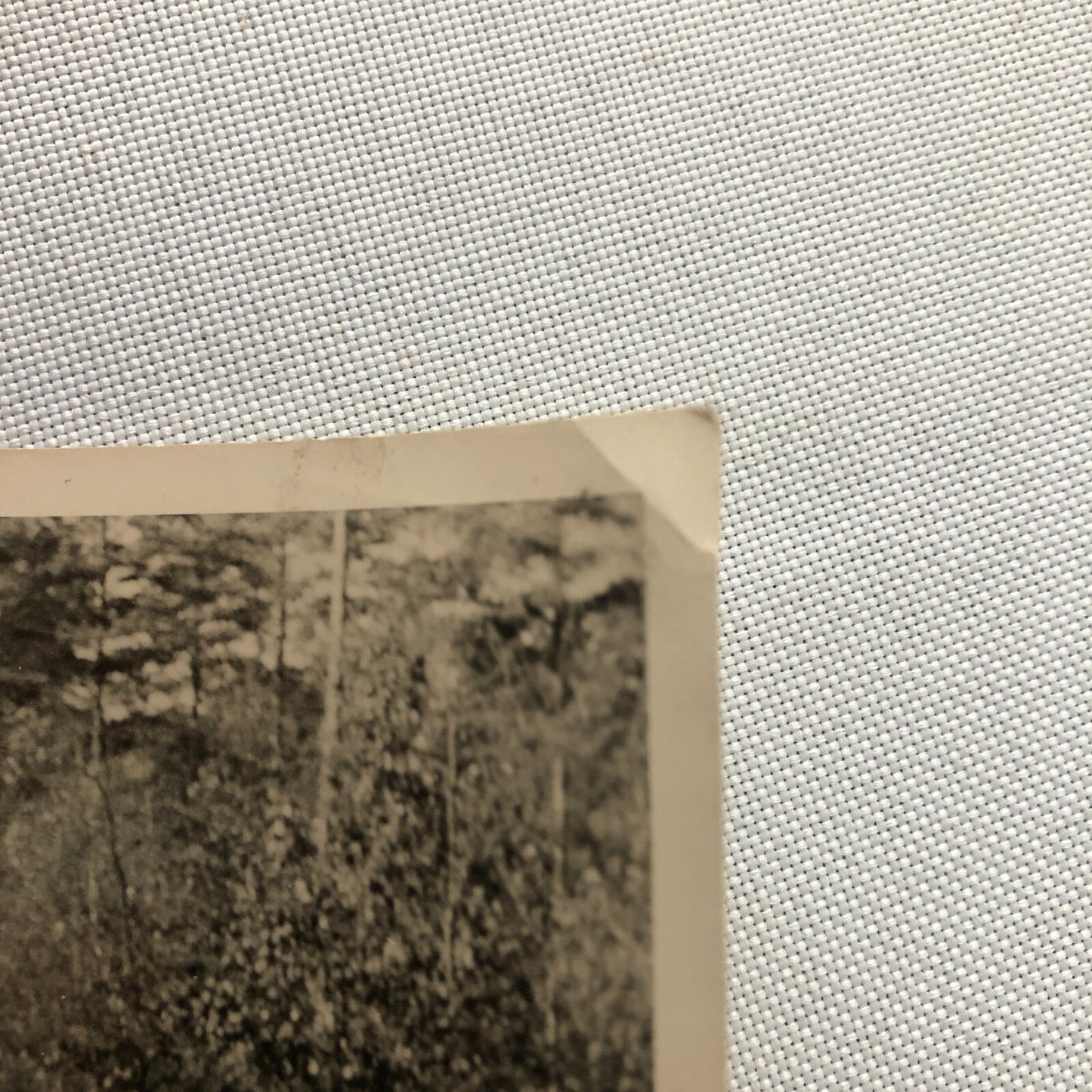 Vintage Photo Photograph Snapshot Car Automobile VW Volkswagen Beetle Bug