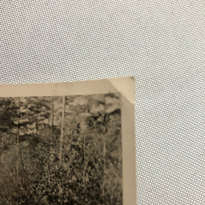 Vintage Photo Photograph Snapshot Car Automobile VW Volkswagen Beetle Bug