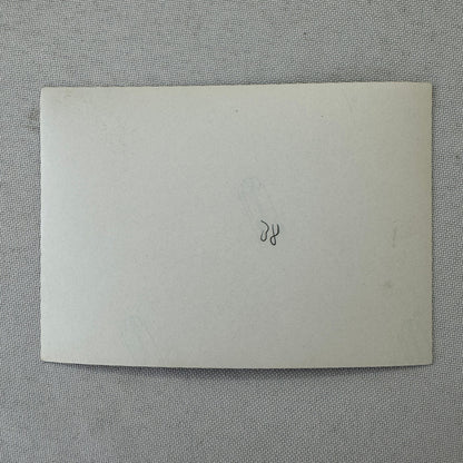 Abarth Simca 1300 Racing Car Photo Photograph Vintage Print