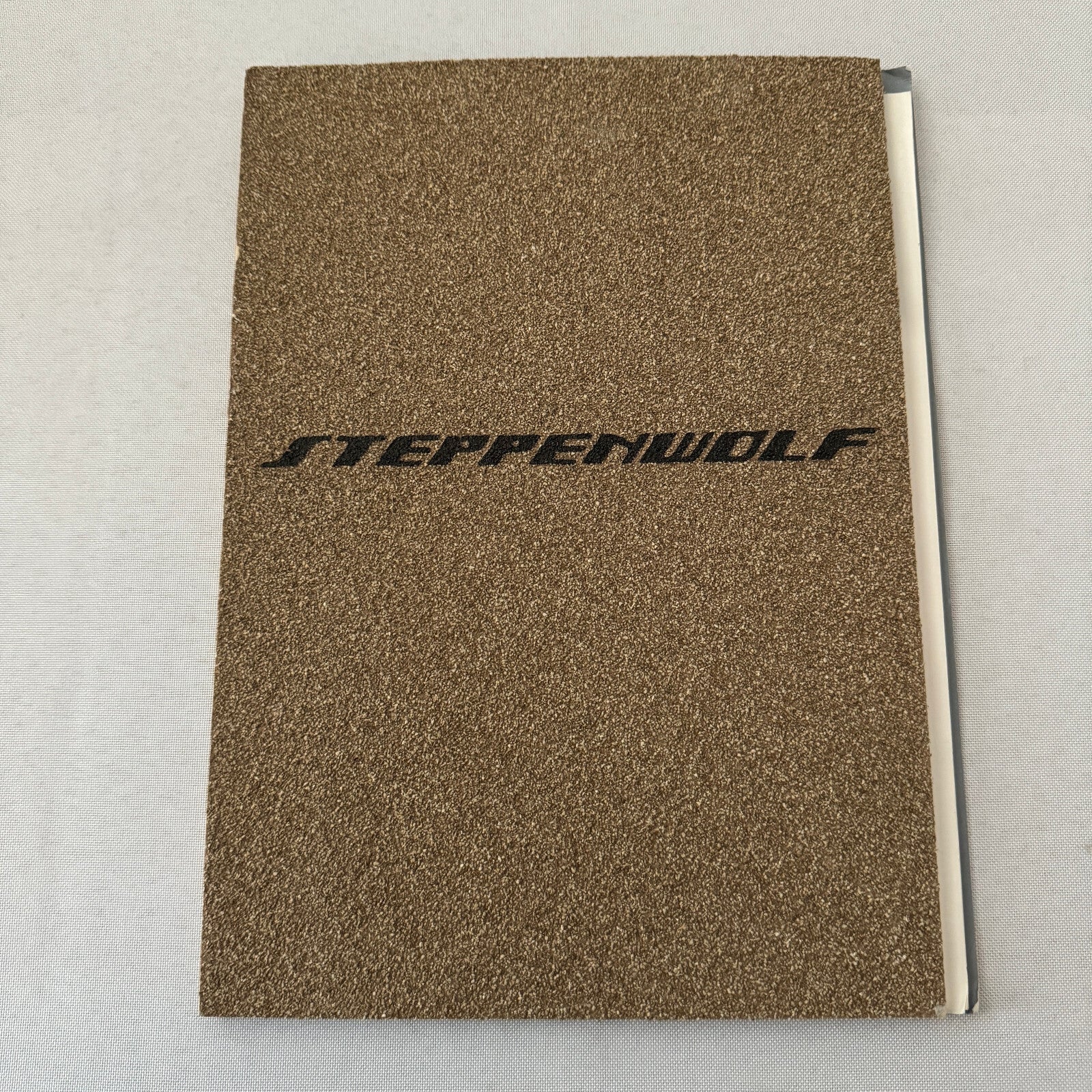 2000 Audi Steppenwolf Concept Car Prototype Press Kit Photos Germany