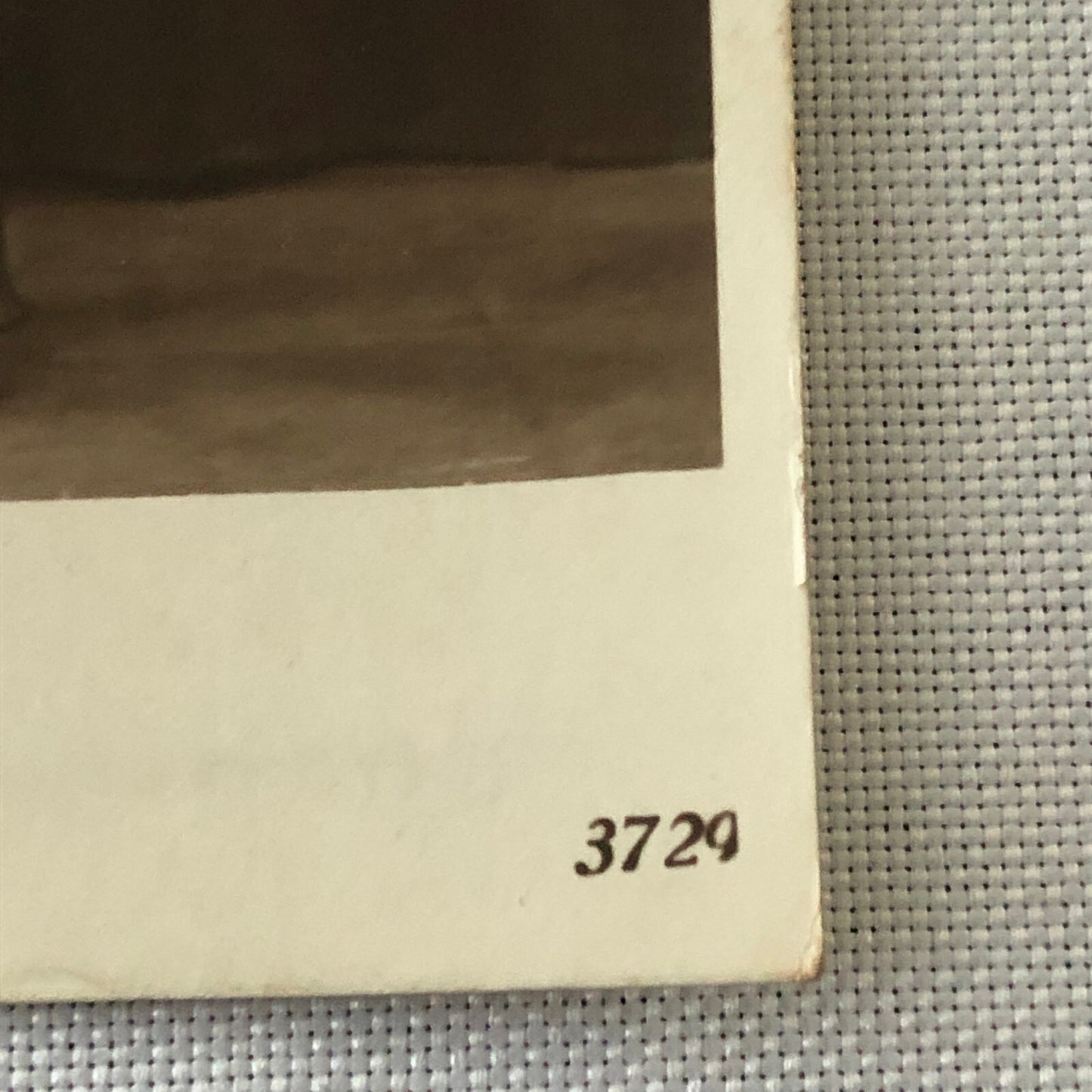 Circus Performer Trapeze Artist Acrobat Performer Miss Swift Photo Photograph