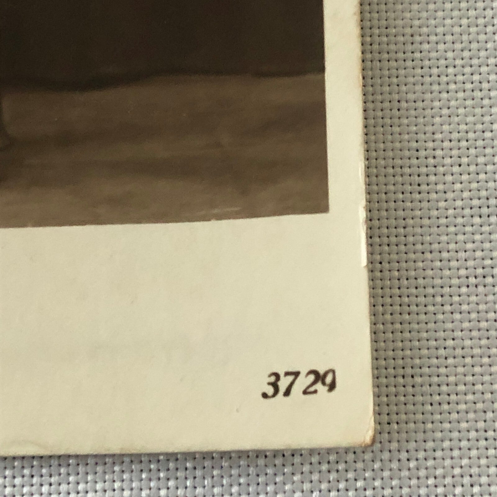 Circus Performer Trapeze Artist Acrobat Performer Miss Swift Photo Photograph